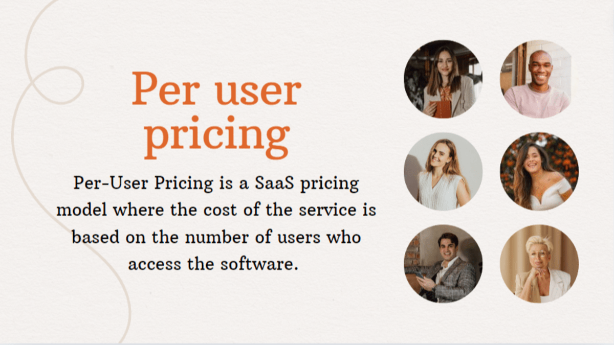 Per User Pricing