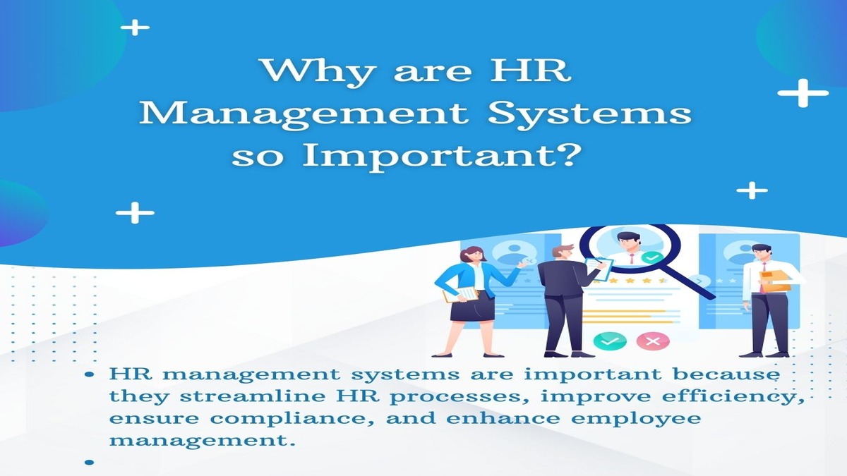 Why HR Management System important